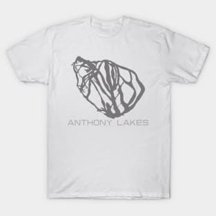 Anthony Lakes Resort 3D T-Shirt